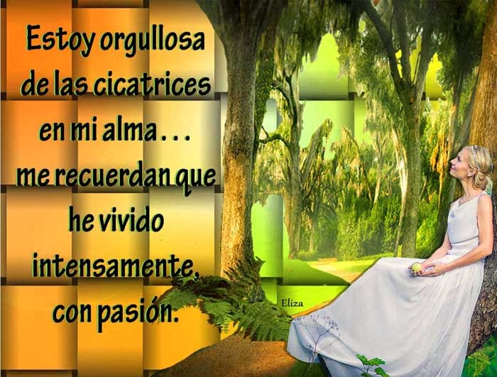 Tarjetas y Postales: Las cicatrices de mi alma
