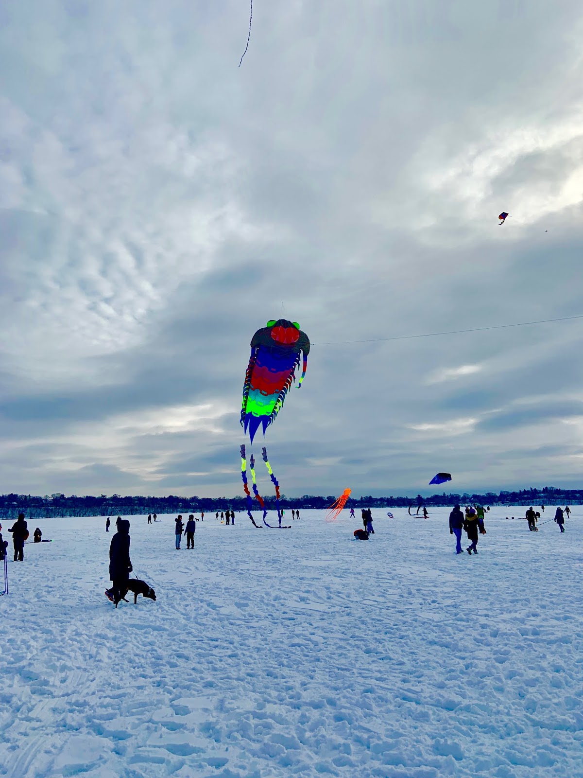 Blogtown Clogtown The 2020 Lake Harriet Kite Festival!