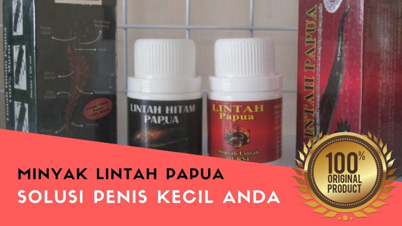 Cara Pakai Minyak Lintah Papua 08973849375 Testimoni Minyak Lintah