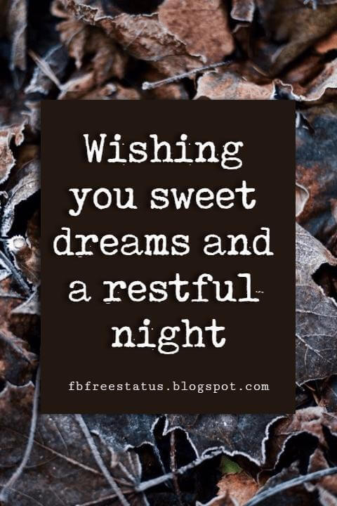 Cute Good Night Quotes, Messages And Images
