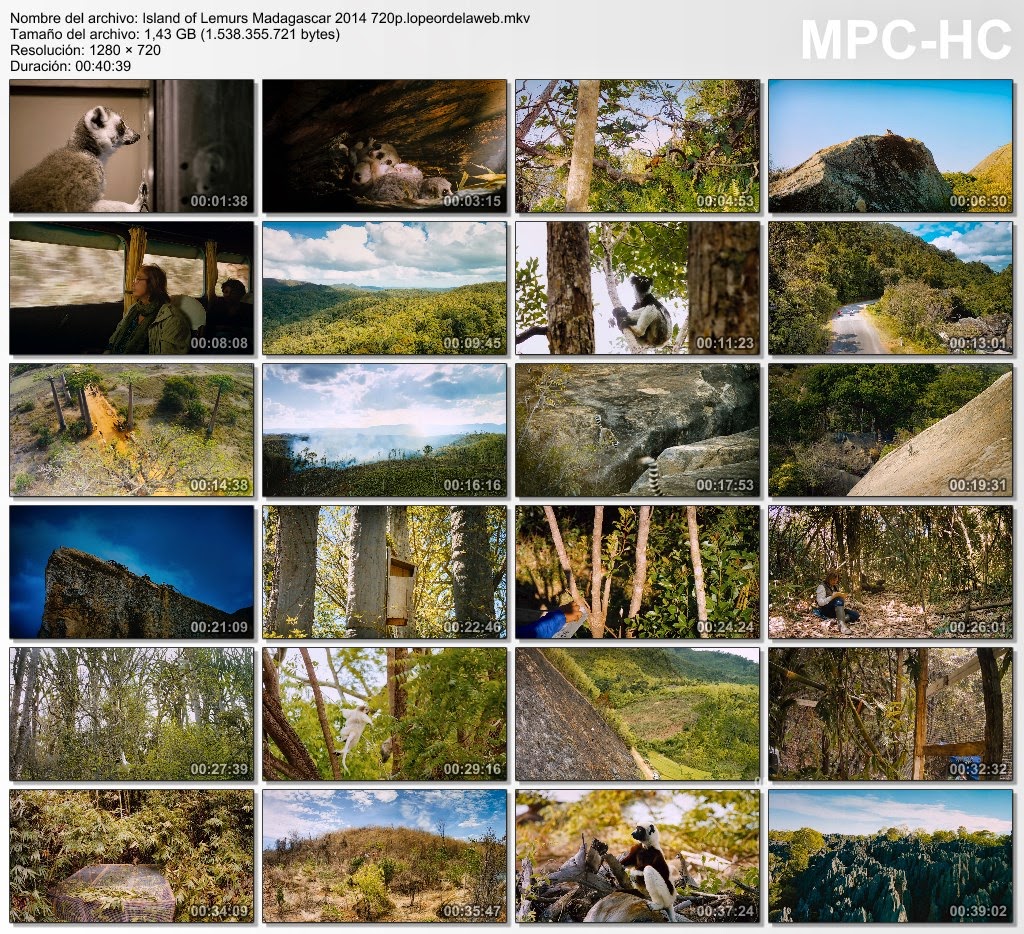Madagascar, isla de lémures (2014) 720p BDRip Dual 