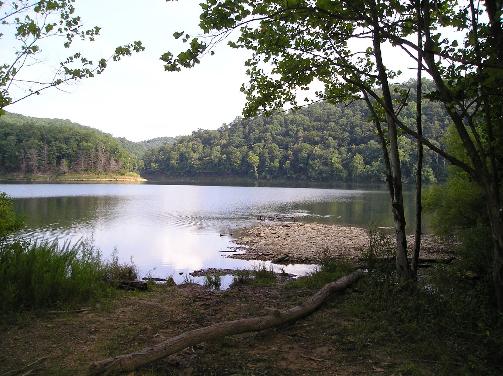 Glamorous Addiction Our Trip to Cave Run Lake in KY Includes Photos