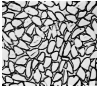 Cross-Section-500X-Silk-fibre