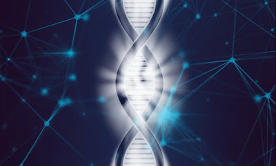 DNA:  Pengertian, Konsep, Struktur, Cara Kerja, Konsep Genetika, dan Proses Mutase