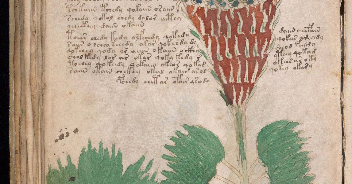 voynich manuscript pdf high resolution voynich manuscript pdf high resolution