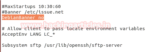 Ssh Penetration Testing Port 22 Hacking Reviews