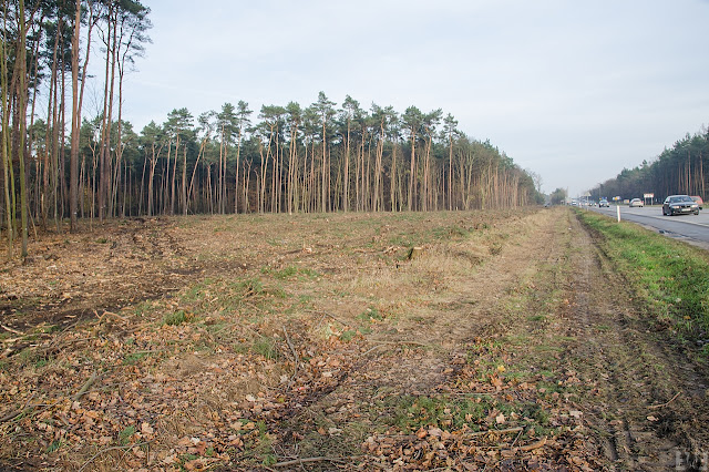 Przebudowa drogi wojewódzkiej 223 Białe Błota Bydgoszcz