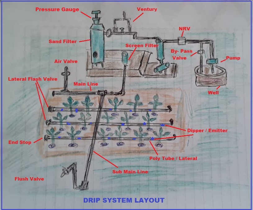 Advantages and Features of the Drip or Trickle Irrigation System