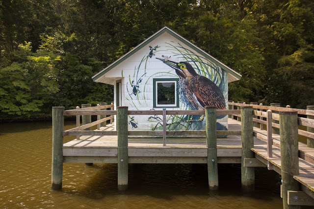 Roman painter and muralist, Hitnes, is embarking on an epic three-month journey that will channel the artistic works of ornithologist, painter and explorer, John James Audubon.