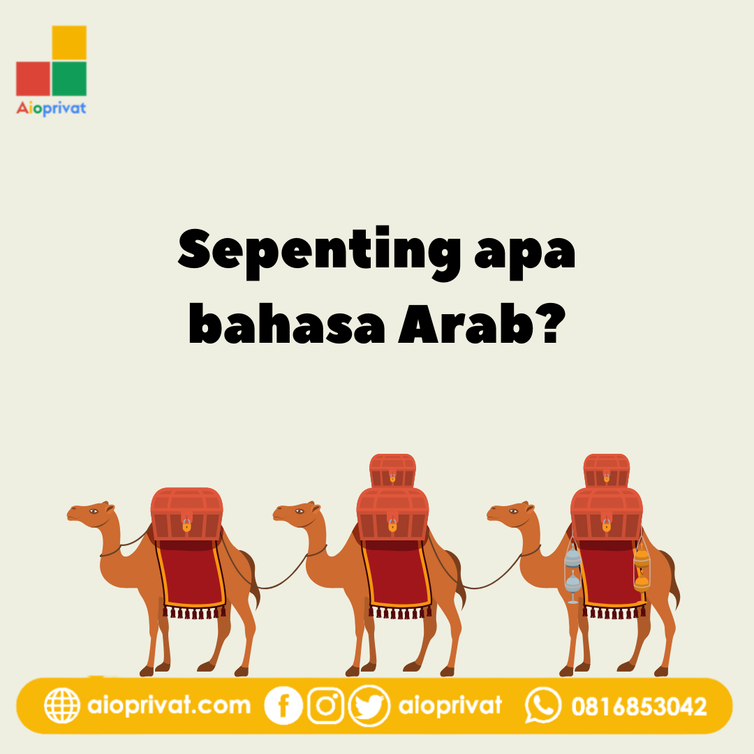 Les Bahasa Arab Semarang