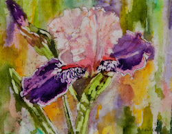 carol goff watercolor crystal ironstone iris 16x20 heritage museum artist