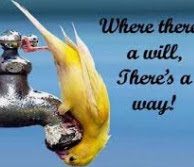 Courage and resourcefulness are the keys to overcome problems meaning in marathi picture