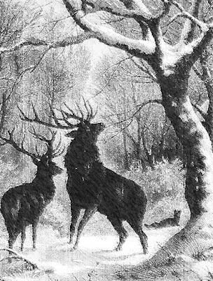 pencil drawing of deer in a forest