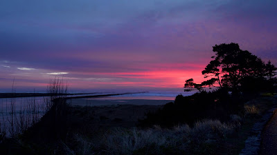 Sunset, Trees, Silhouettes, Dusk, Nature