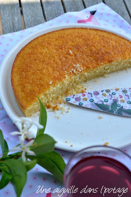 Gâteau fondant à la noix de coco