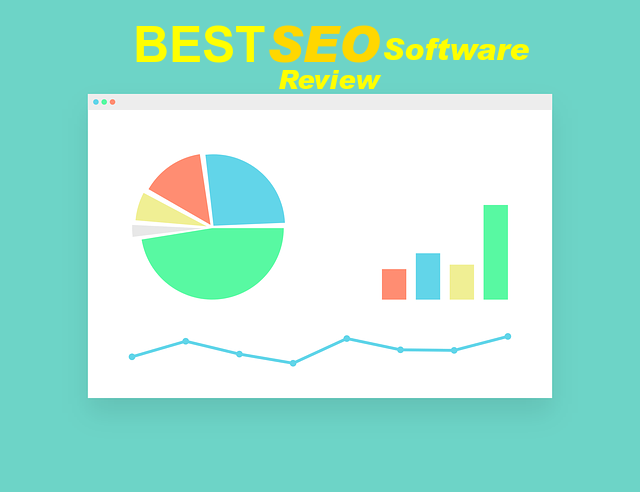 best seo software review