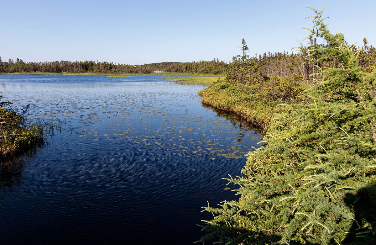 Bitstop Upper Three Corner Pond Bitstop Upper Three Corner Pond