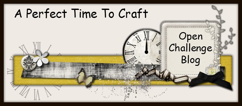 Past DT Leader for "A Perfect time To Craft"