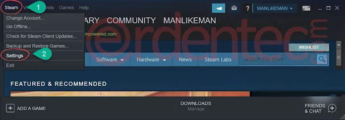 Steam FPS Monitor