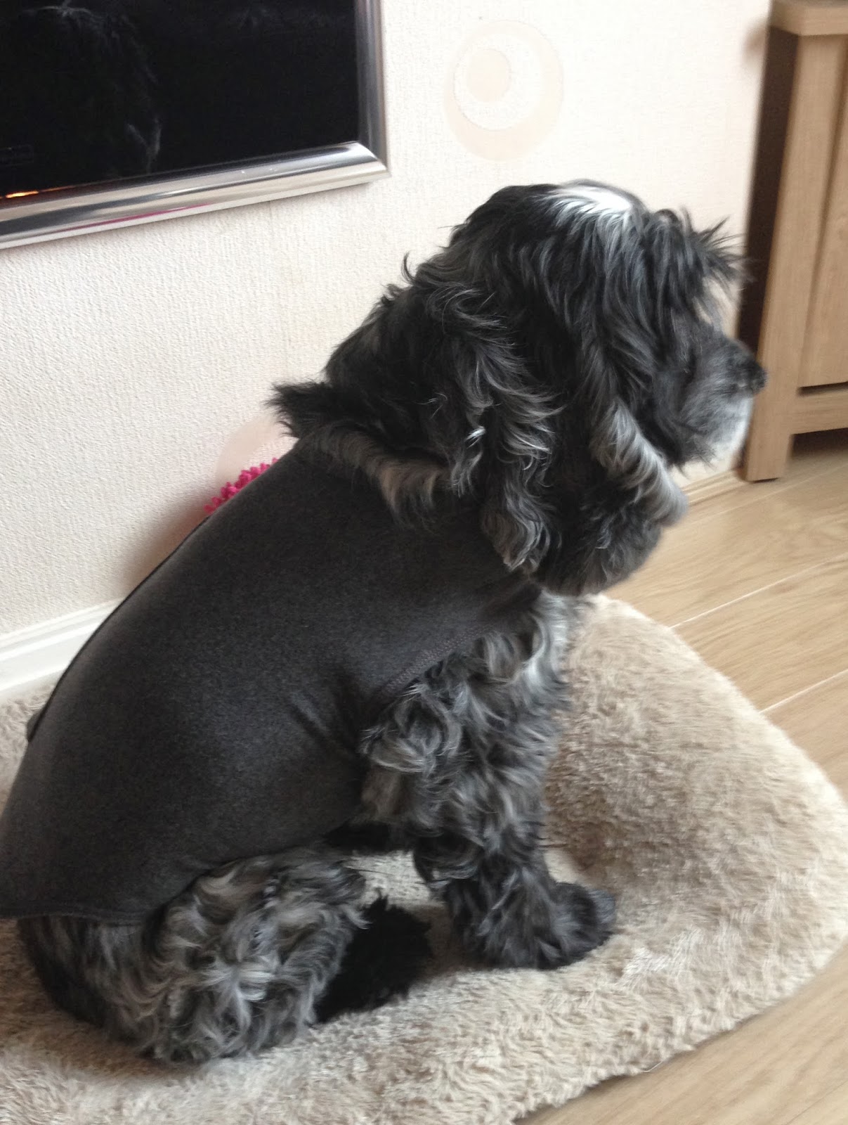 Thundershirt A Review Mammaful Zo Beauty, Fashion, Lifestyle