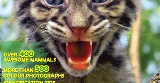 Book Review : The Secret Lives Of Indian Mammals By Vivek Menon