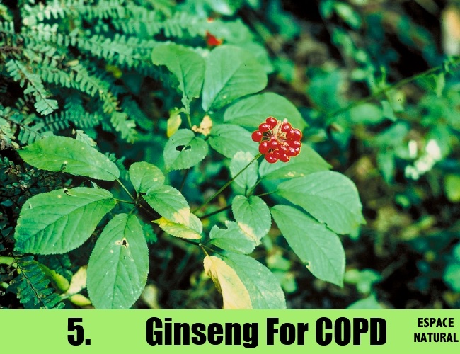 11 Natural Home Remedies For Copd