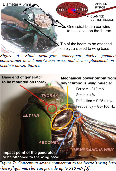 Mechanical Energy Scavenging from Flying Insects | NextBigFuture.com