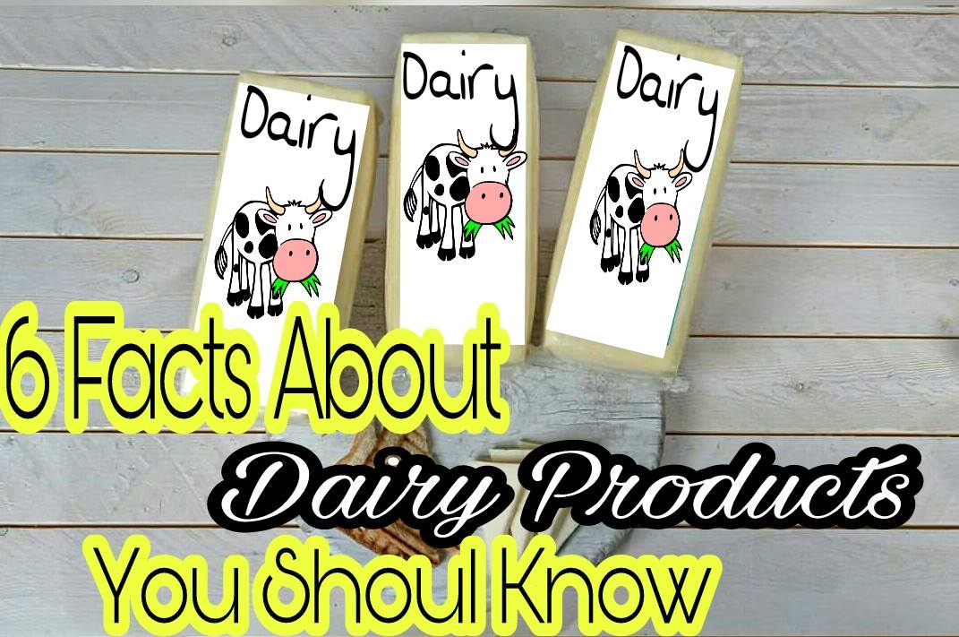 Is Dairy Bad For Your Health? Here's The 6 Facts About Dairy You Should Know Clever News Reader