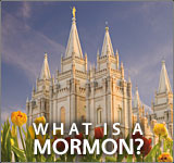 Picture of Salt Lake Mormon Temple