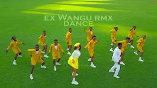 VIDEO | Hamisa Mobetto X Seneta – Ex wangu REMIX Dance Mp4 Download