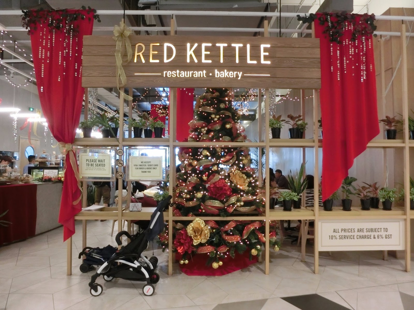 Red Kettle Starling felicia.grace