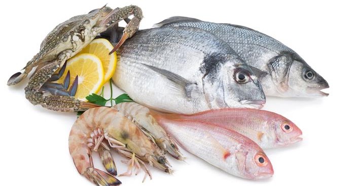 Rüyada Çiğ Balık Yemek Rüya Tabirleri ve Yorumları Rüyada Çiğ Balık Yemek Rüya Tabirleri ve Yorumları