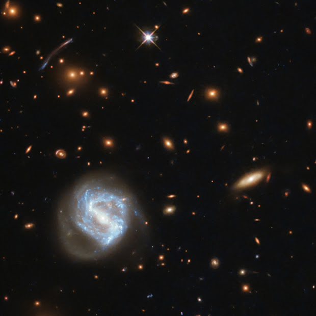 Galaxy Cluster SDSS J0333+0651