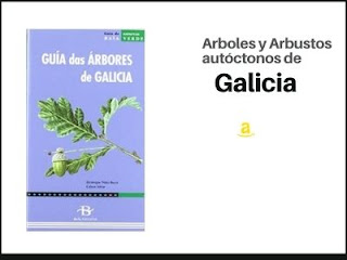 Guía de Arboles y Arbustos de Galicia