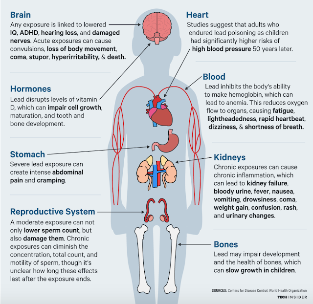 Brochinspring2017EH2000 Lead Poisoning