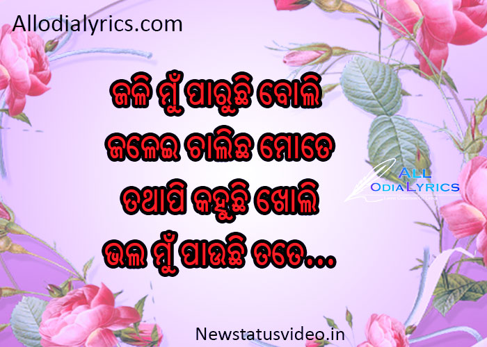 Odia Shayari Collection