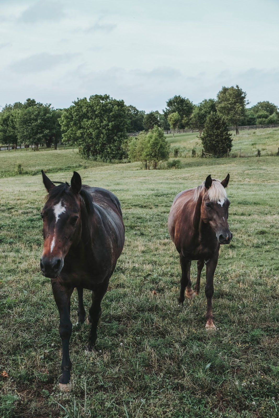 History, Horses, & Bourbon in Bardstown, Kentucky HOPS AND SKIPS