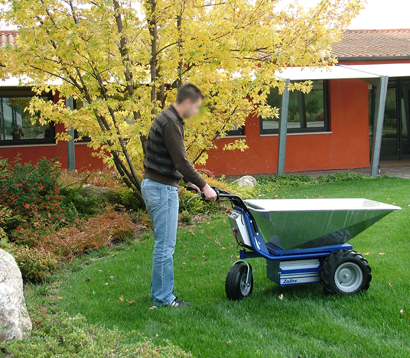 Zallys D1 Professional electric wheelbarrow