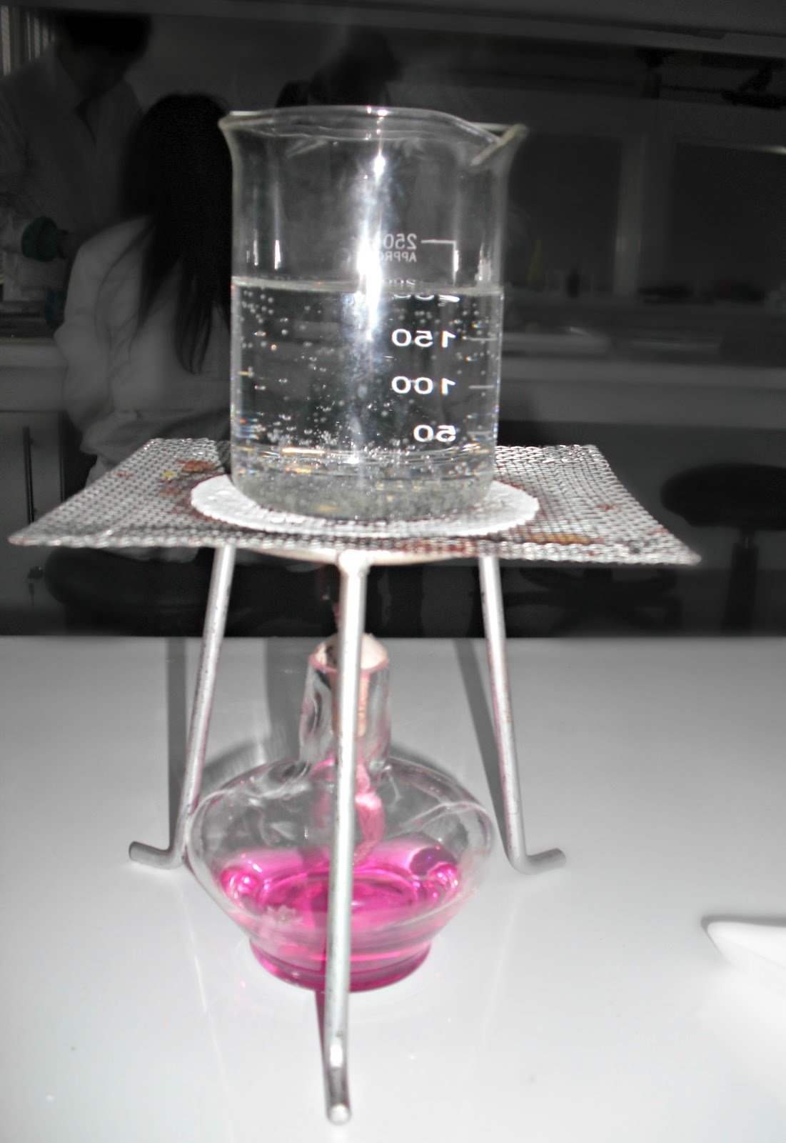 Extracción de ADN de frutilla: junio 2012