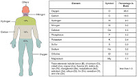 Elements of the Human Body 01