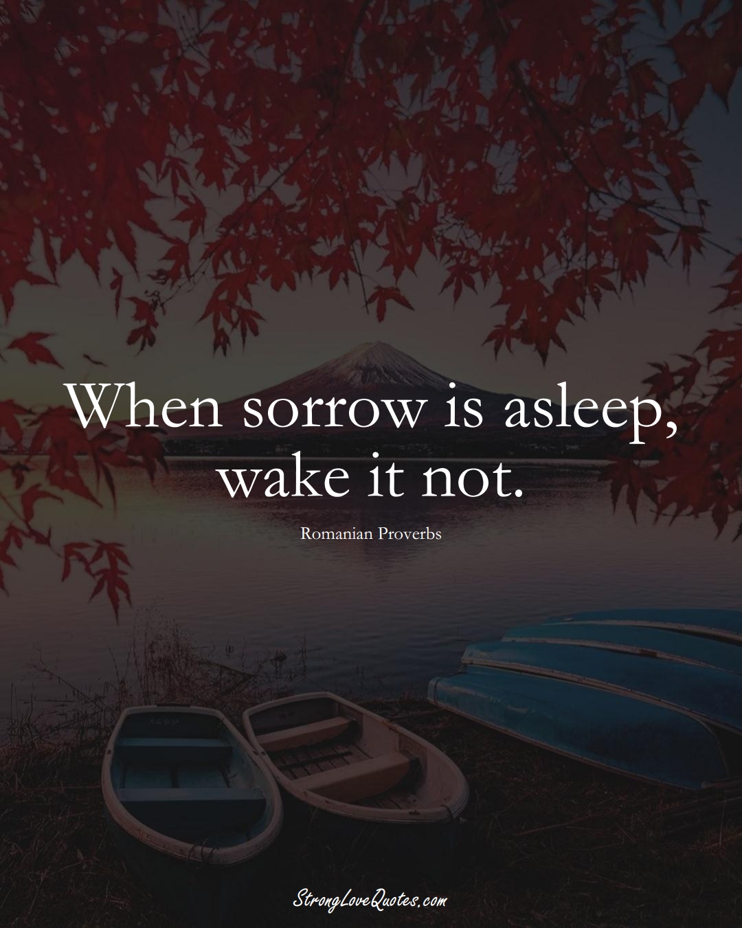 When sorrow is asleep, wake it not. (Romanian Sayings);  #EuropeanSayings