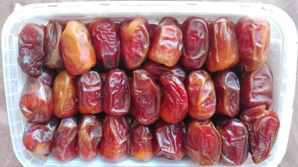 Mudga Agriculture & Food Products suppliers Egyptian Dates suppliers