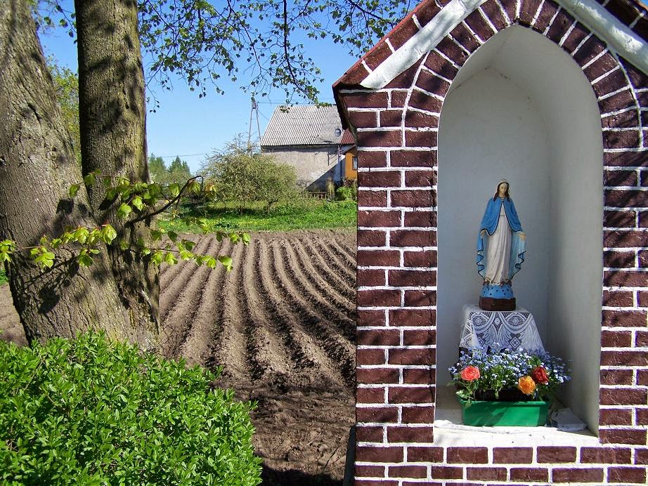 wierszalotka Święta Warmia Franknowo, Tłokowo, Jeziorany