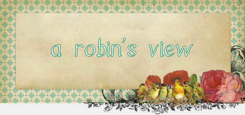 A Robin's View