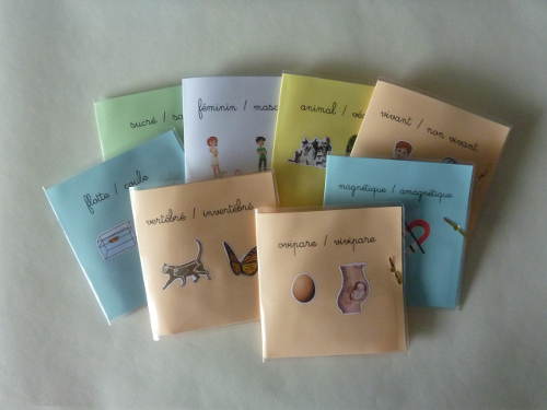 pochette range carte