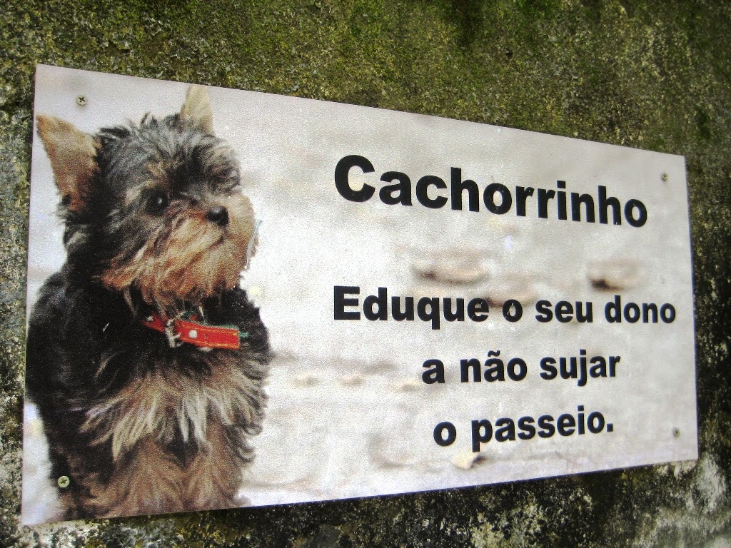 Merda%2Bde%2Bcachorro.jpg