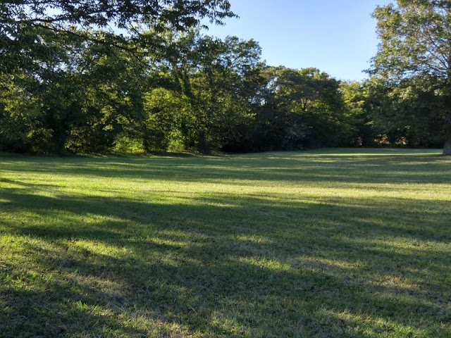 Wordless Wednesday our land, outside, fresh air