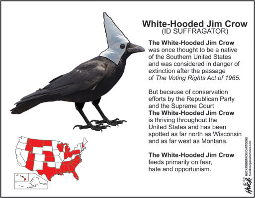 Image of a crow wearing a white hood, accompanied by a map of the United States showing the states that voted for Donald Trump in 2020.  Text:  White-Hooded Jim Crow (ID SUFFRAGATOR).  The white-hooded Jim Crow was once thought to be a native of the Southern United States and was considered in danger after the passage of The Voting Rights Act of 1965.  But because of conservation efforts by the Republican Party and the Supreme Court, the White-Hooded Jim Crow is thriving throughout the United States and has been spotted as far north as Wisconsin and as far west as Montana.  The white-hooded Jim Crow feeds primarily on fear, hate, and opportunism.