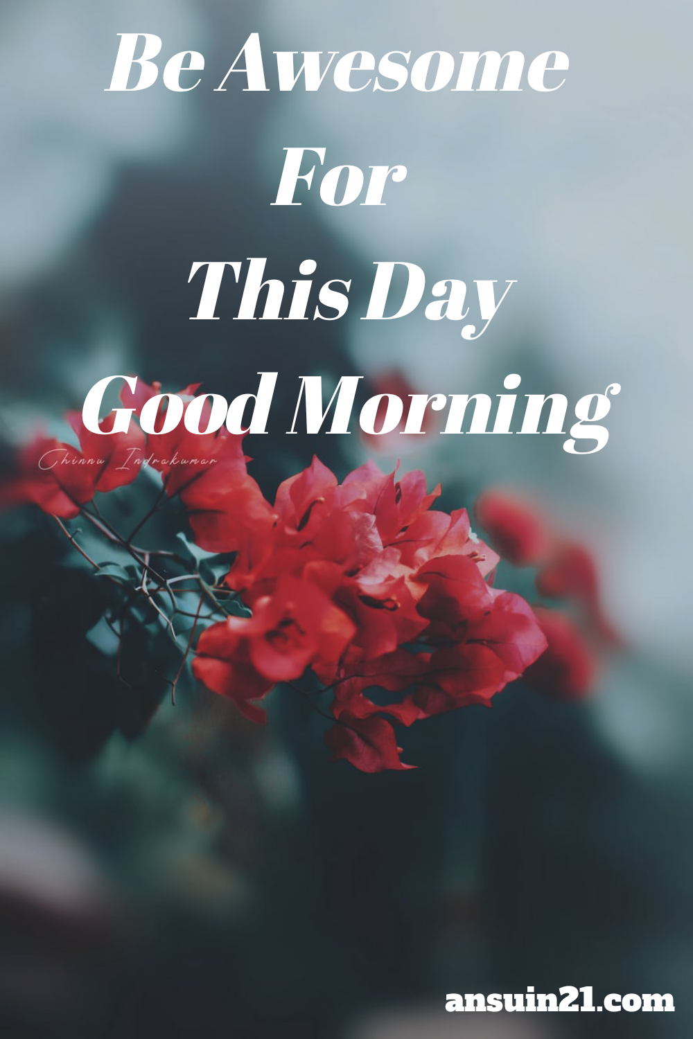 Best Good Morning HD Images, Wishes, Status for whatsaap HD Wallpaper free download,