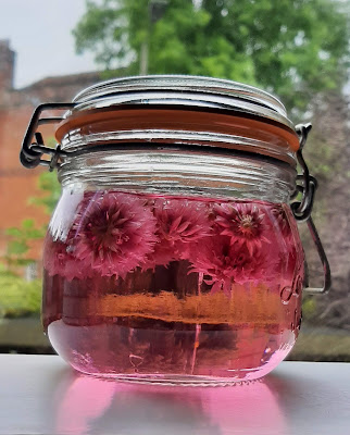 Chive Flower Vinegar